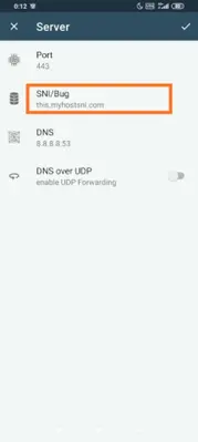 Bypasser SSL VPN android App screenshot 0